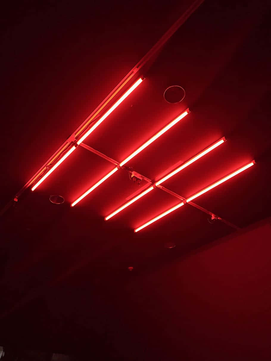 Light Red Wallpaper