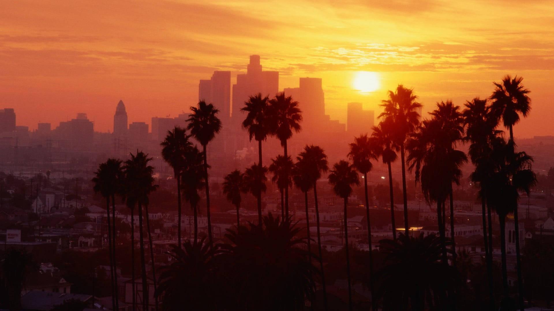 Free download Download Palm Tree Sunset Boulevard Los Angeles Wallpaper ...