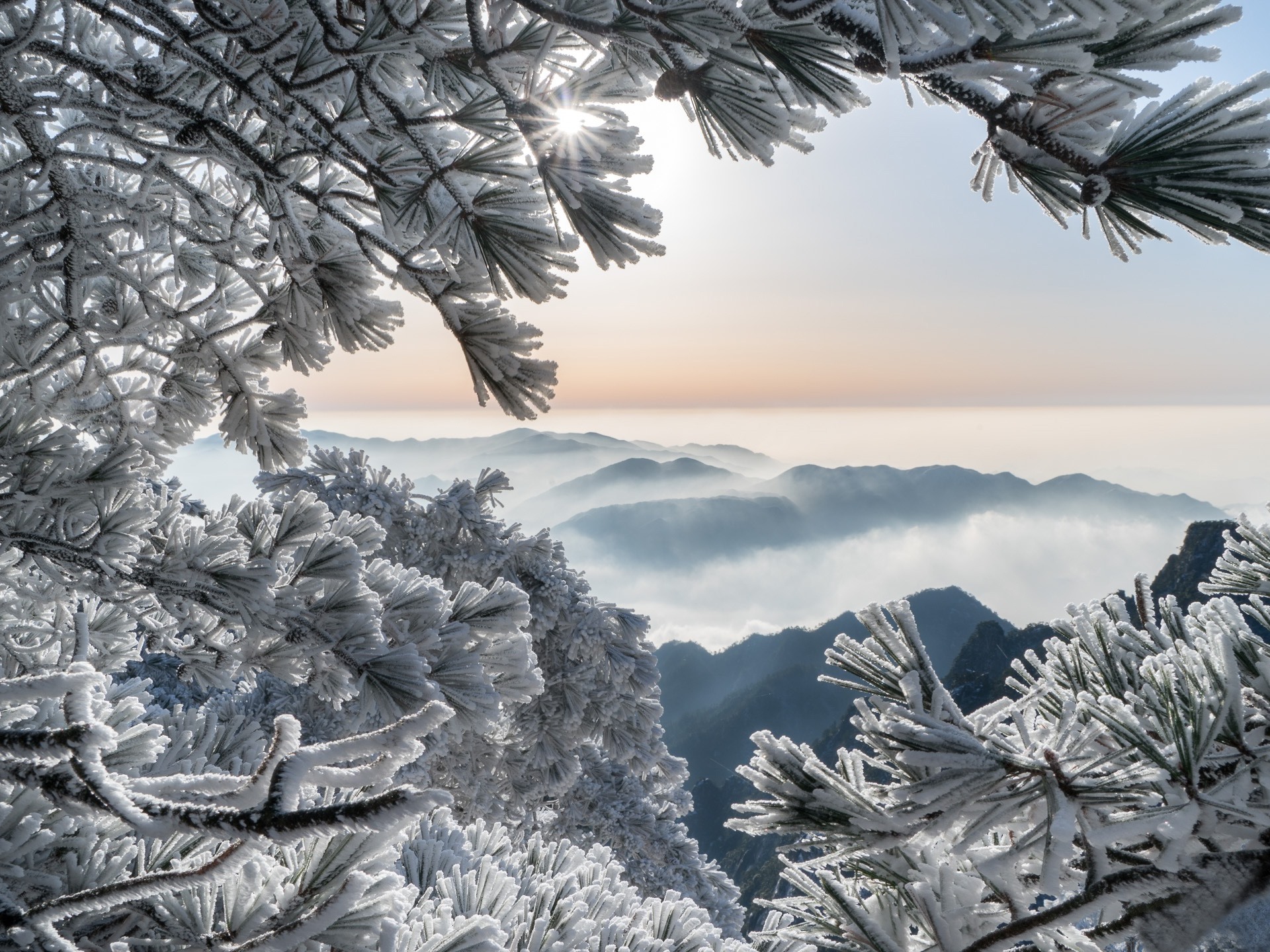 Wallpaper China Huangshan Mountains Pine Frost Snow Winter
