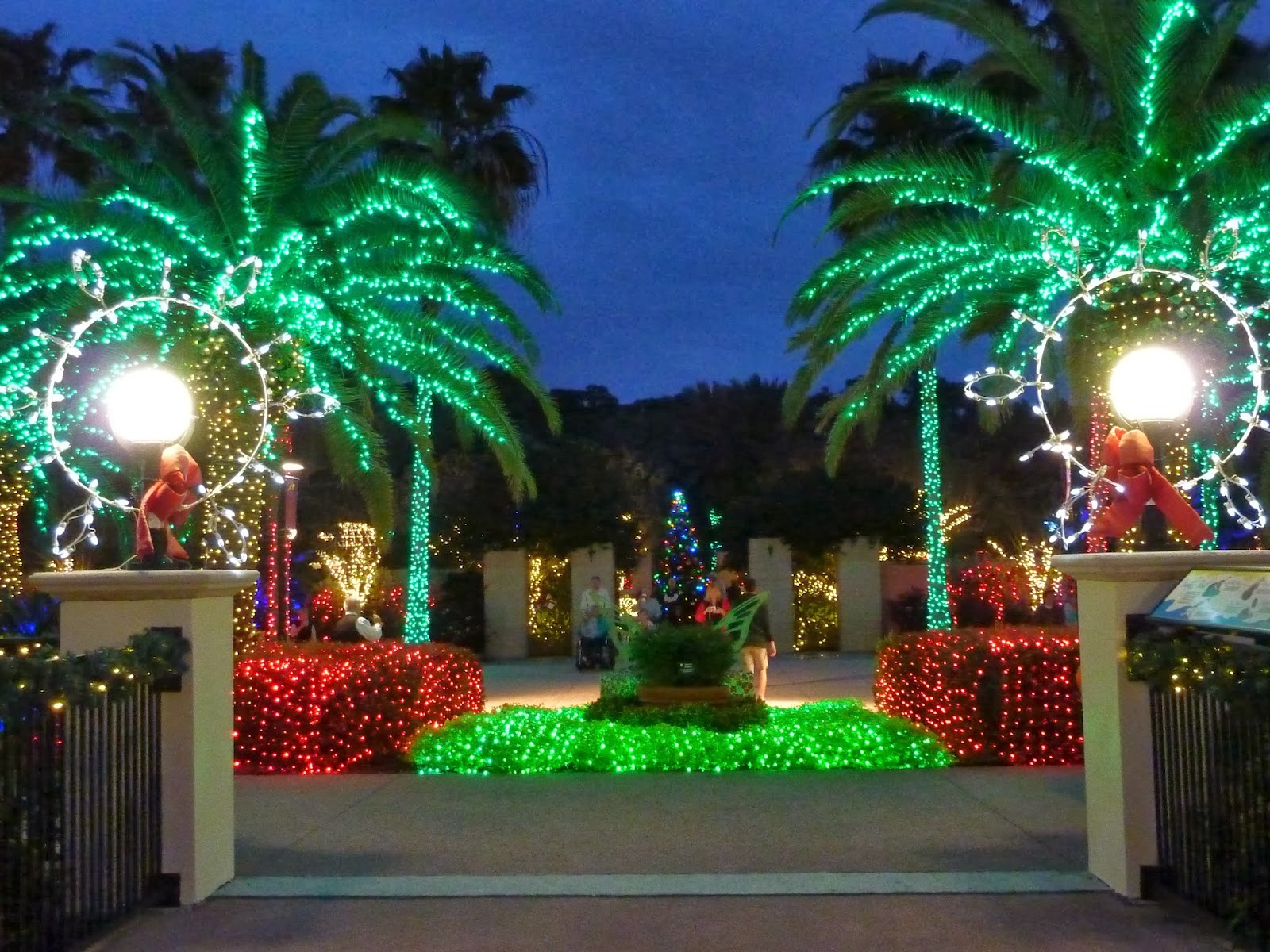 began to set we walked through Lights in the Garden at the Florida