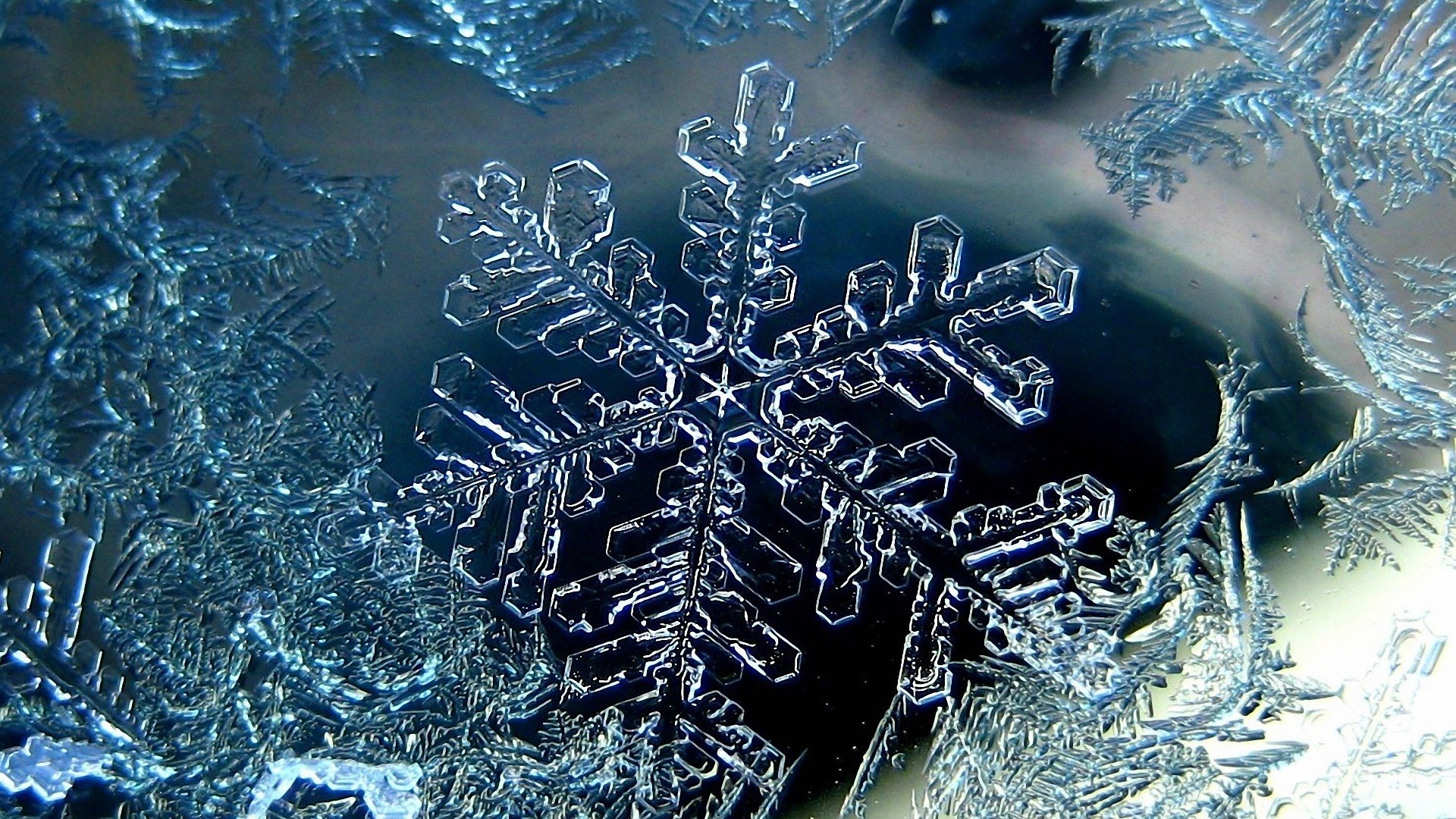 Wallpaper Snowflake Photo