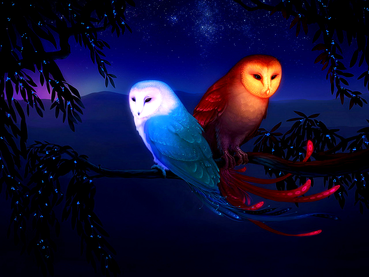 Two Owls Wallpaper Background