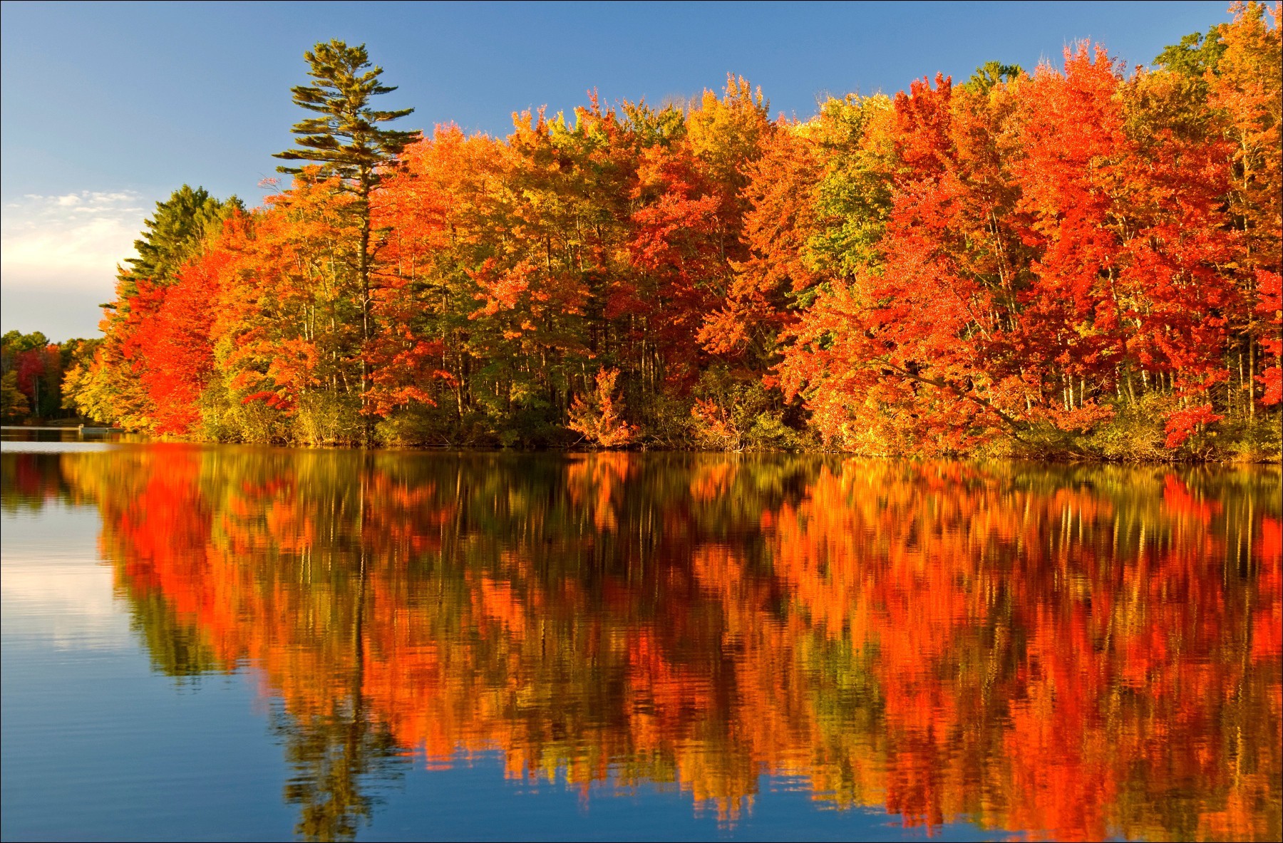 Other Autumn Colours Algonquin Park Ontario Reflection Lake