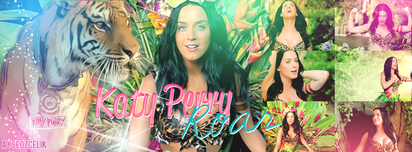 Katy Perry Roar By Icantmybeliebe