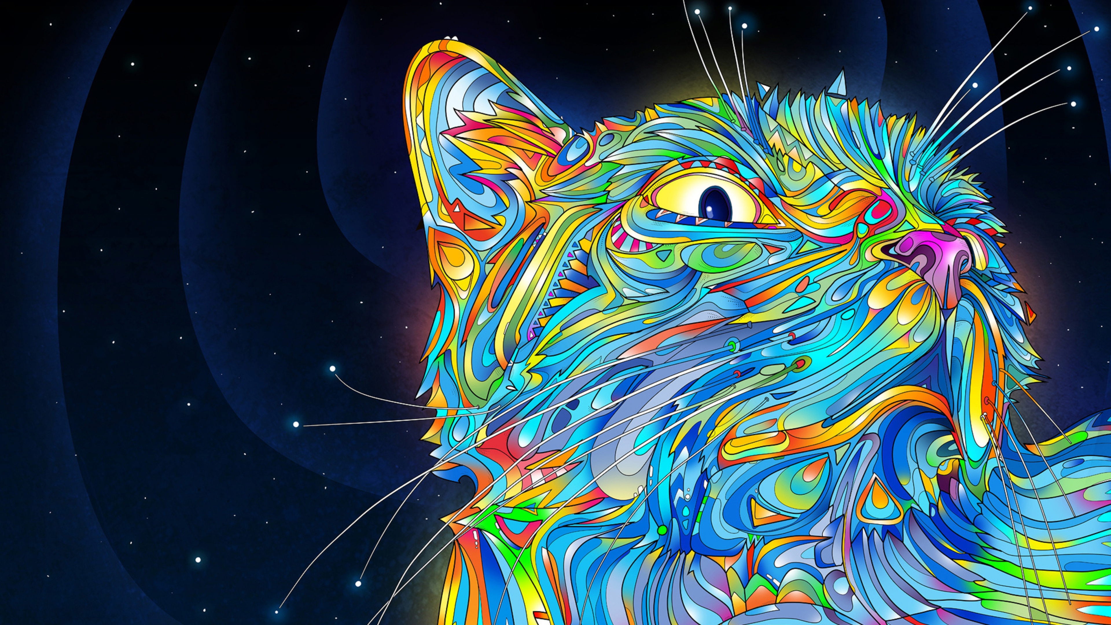 Vector Wallpaper 4k At Vectorified