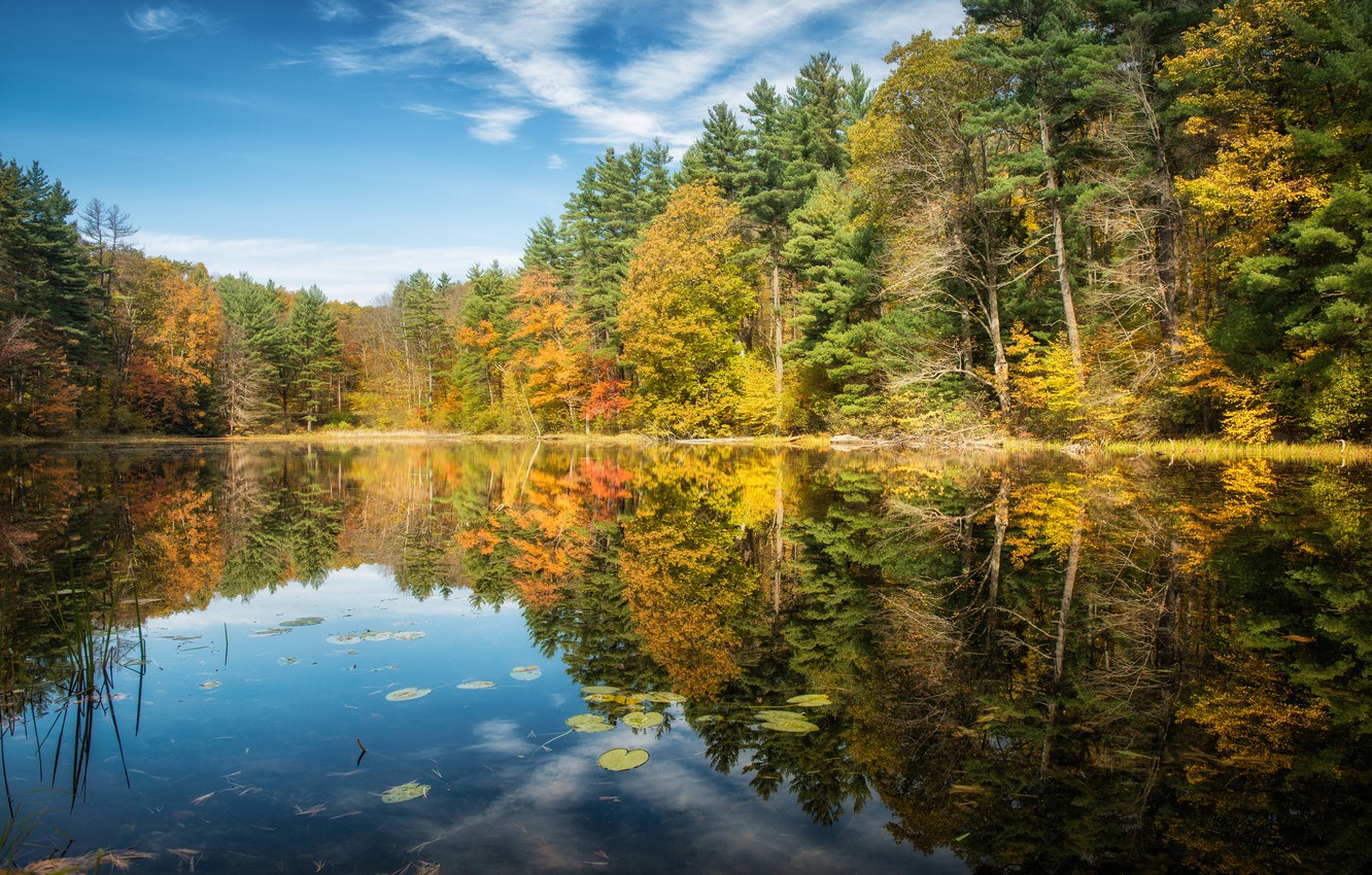 Wallpaper Autumn Forest Trees Lake Reflection Connecticut
