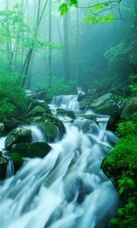 Waterfall old mobile, cell phone, smartphone wallpapers hd, desktop  backgrounds 240x320 downloads, images and pictures
