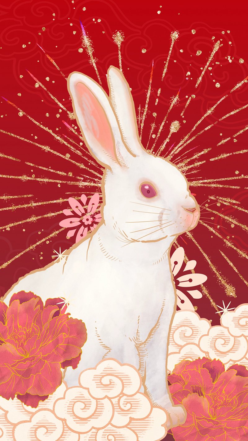 Cute Aesthetic Bunny Image Wallpaper