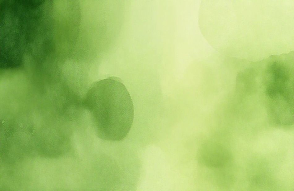 Green Color Background Wallpaper
