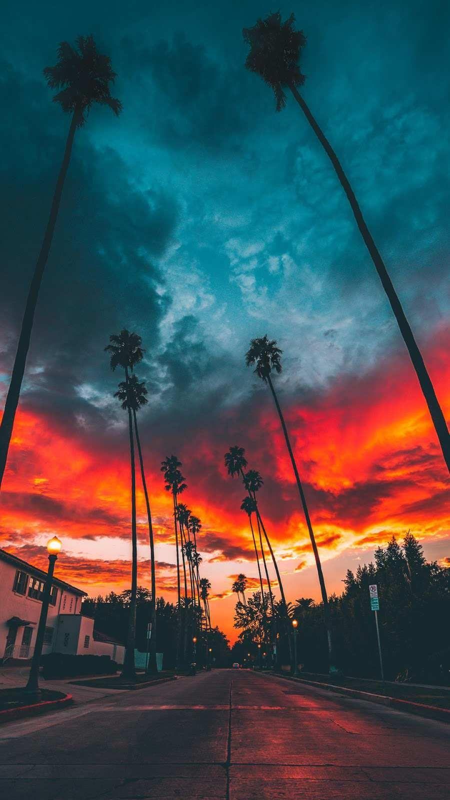 Miami Sunset Wallpaper Top