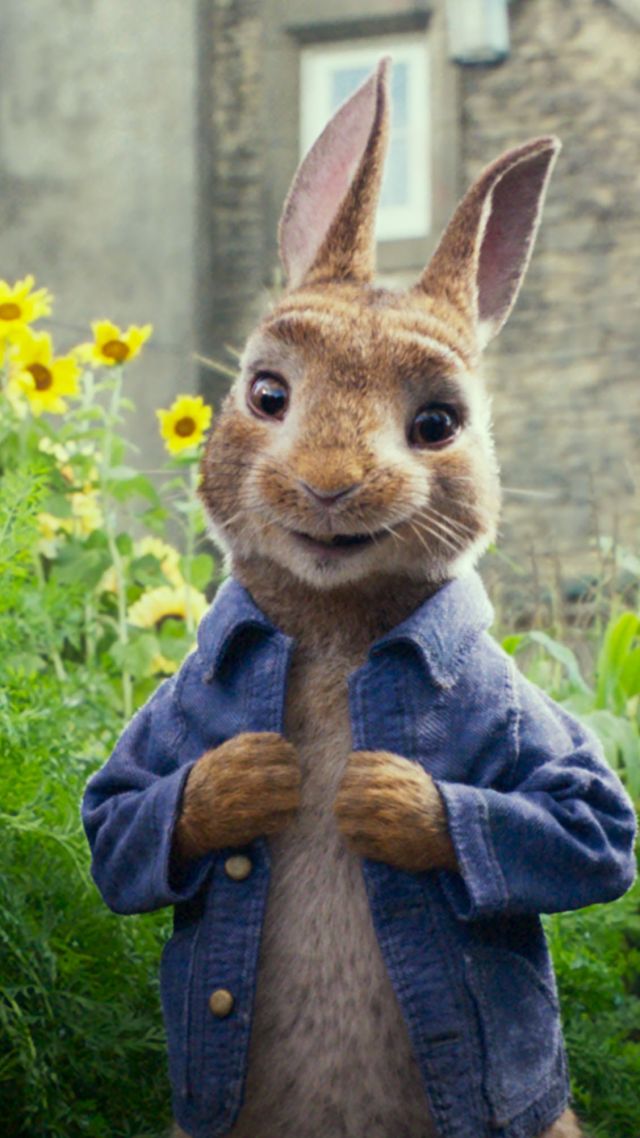 Wallpaper Peter Rabbit 4k Movies