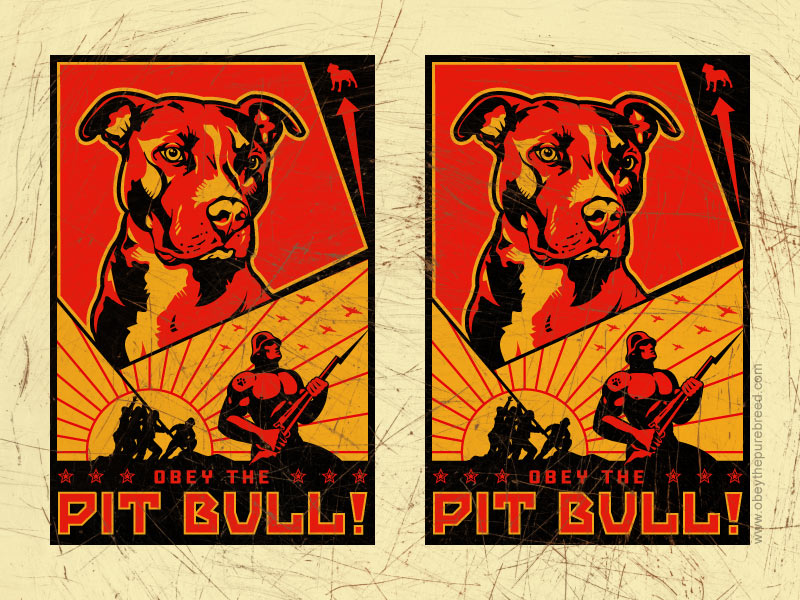 Obeythe Pit Bull