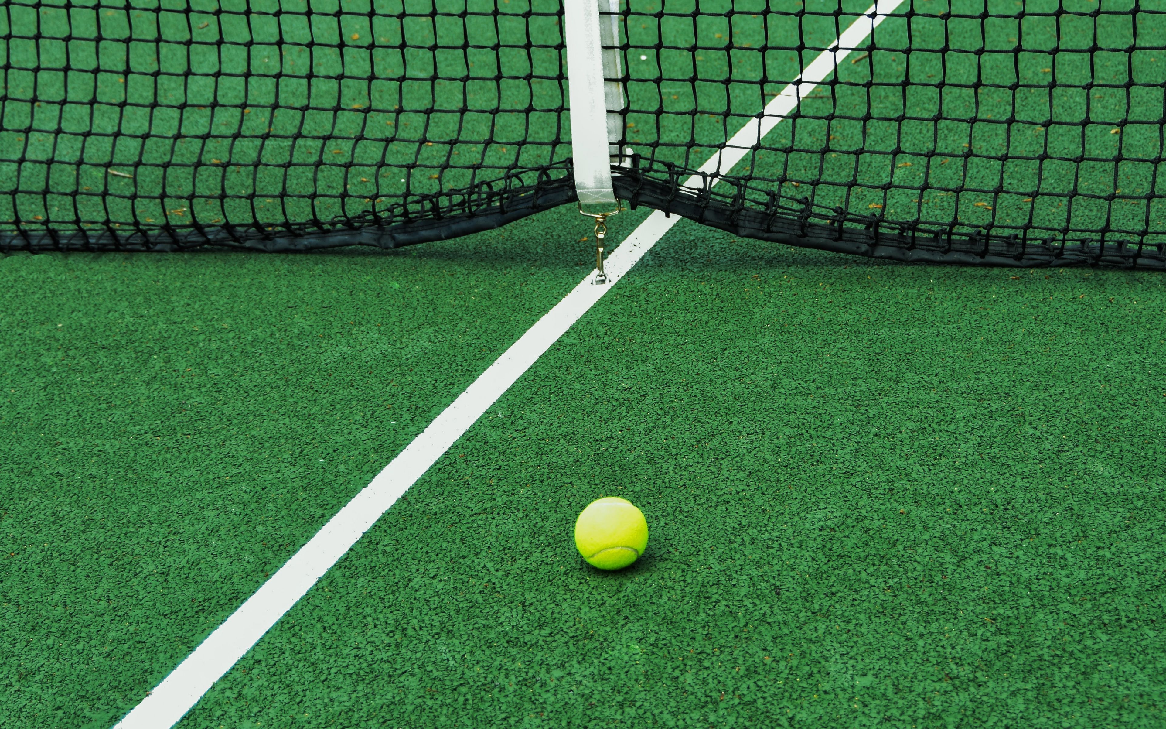 Wallpaper Tennis Court Net Ball Sport 4k Ultra