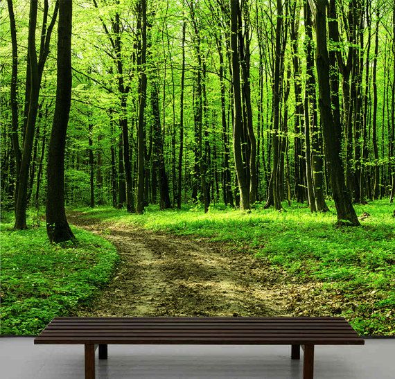 Walk In The Forest Wallpaper Repositionable Peel By Styleawall
