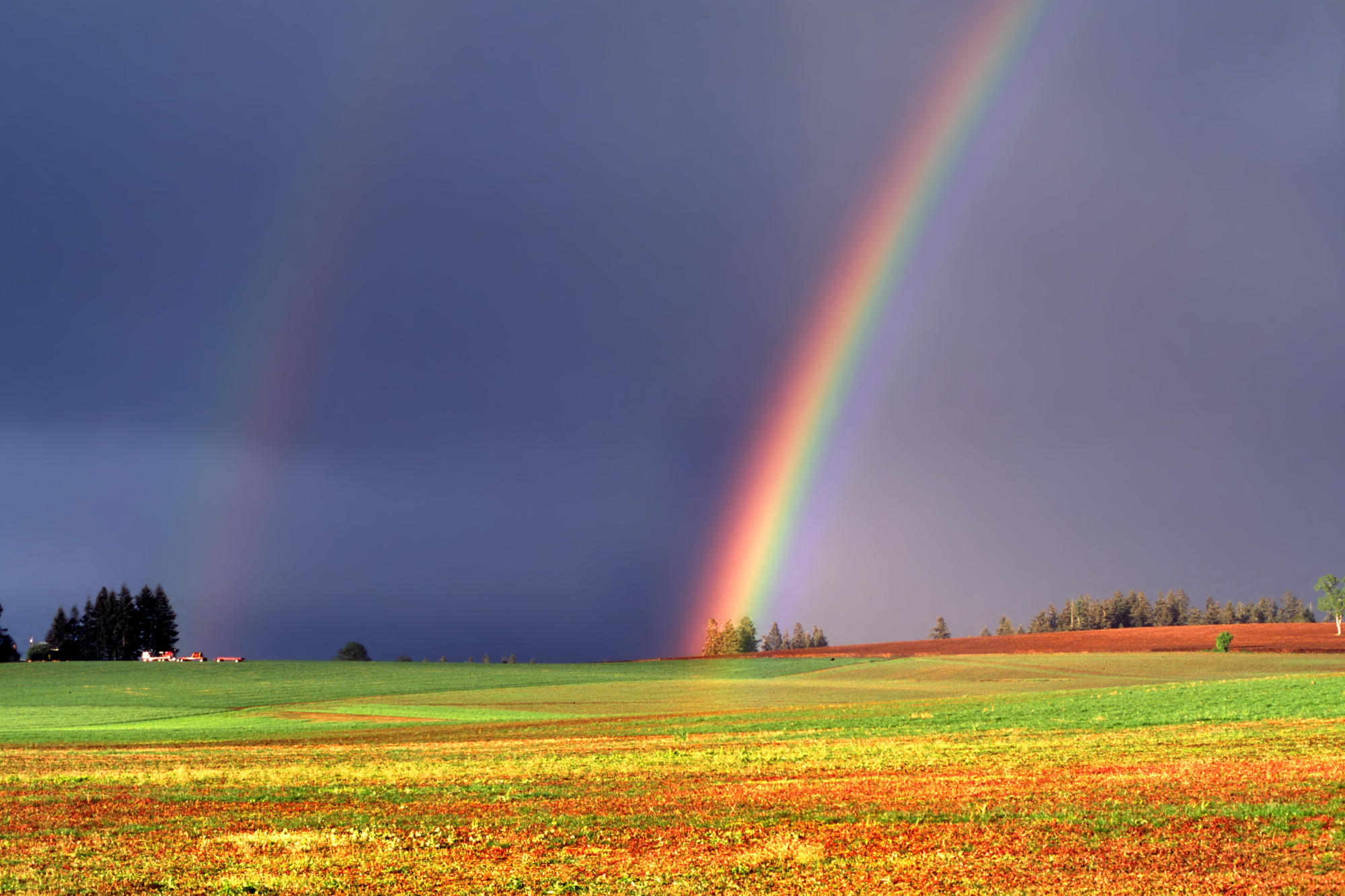 Desktop Wallpaper Rainbow