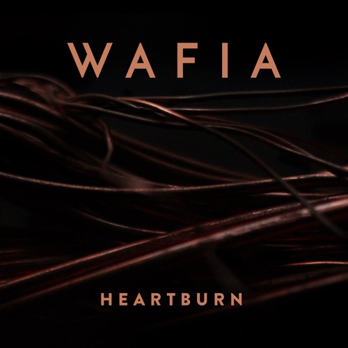 Wafia Heartburn The Pursuit Of Sound
