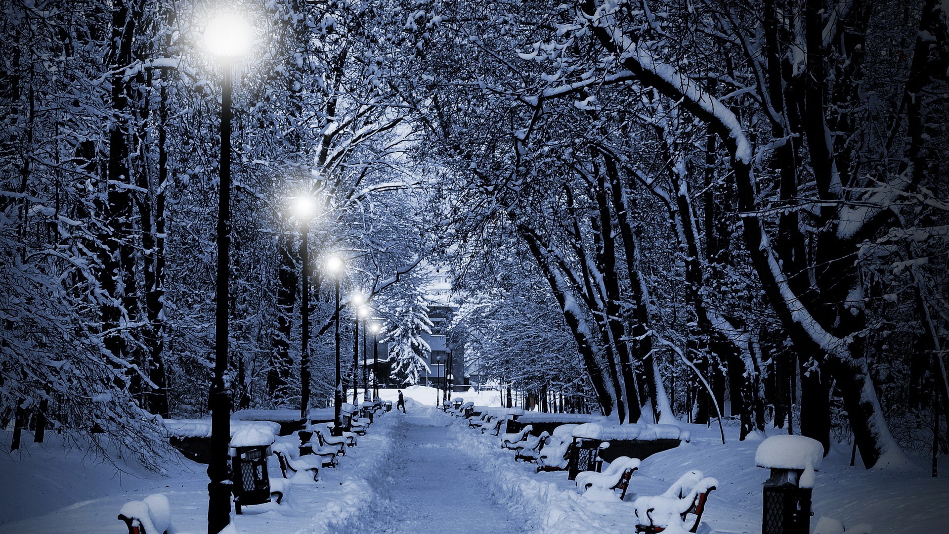 Lamps Light Snow Benches Person Path Full HD 1080p Background