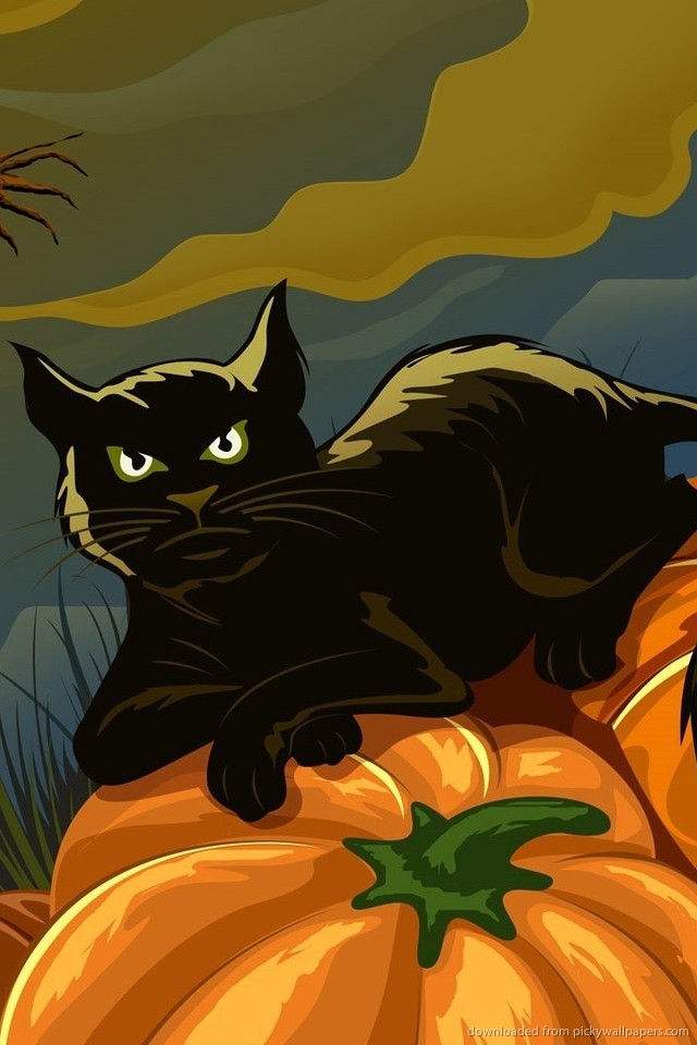 Halloween Cat Wallpaper For iPhone