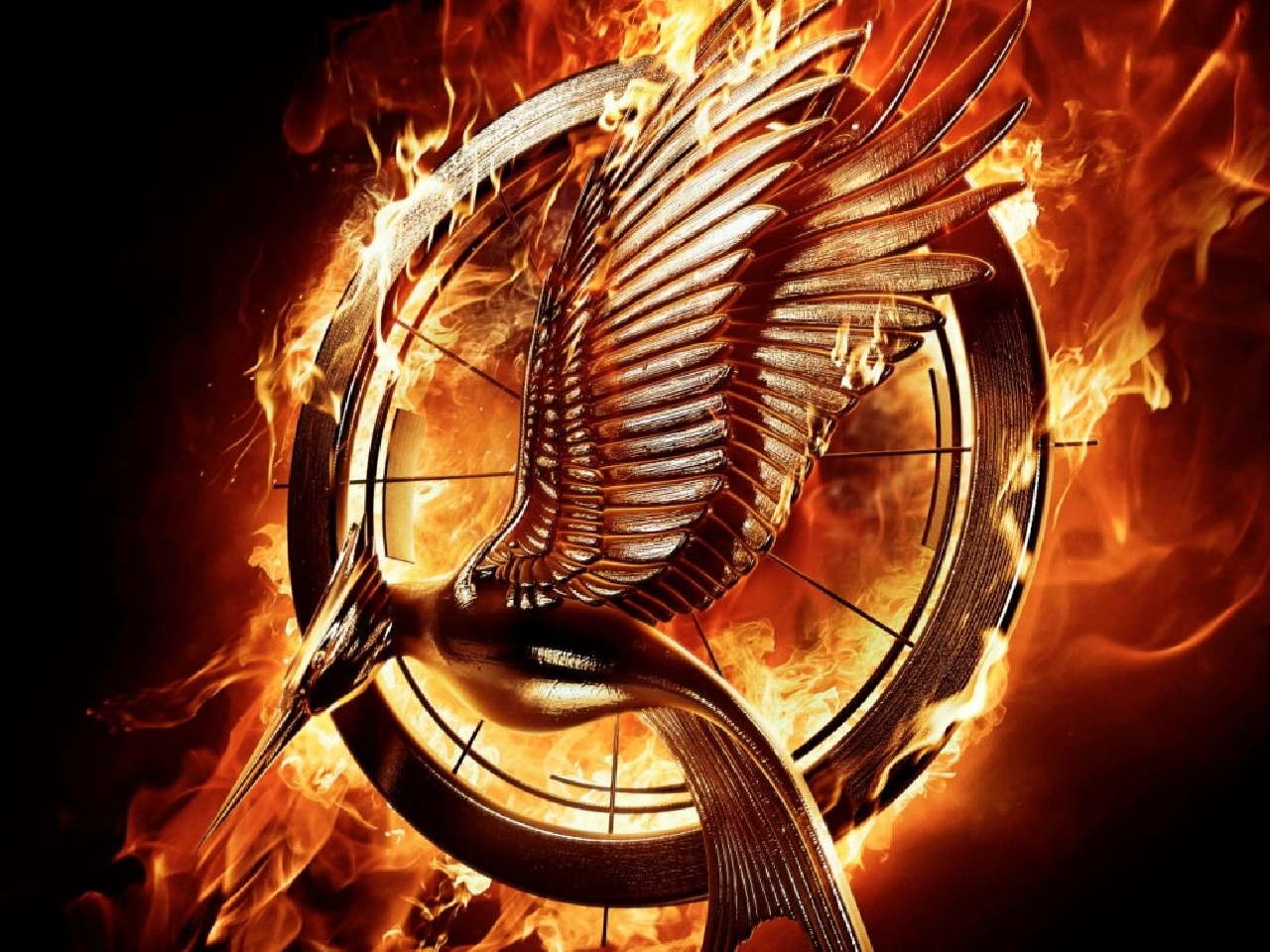 The Hunger Games Catching Fire Wallpaper And Background Image