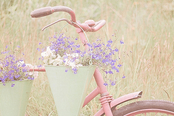 Pale Pretty Pastels Trendey