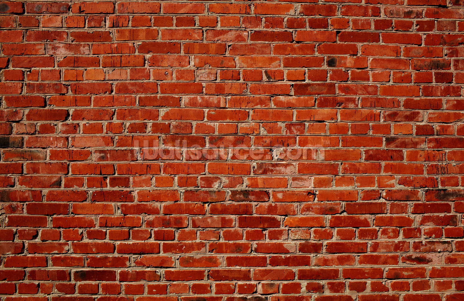 Brick Wallpaper Red Wall