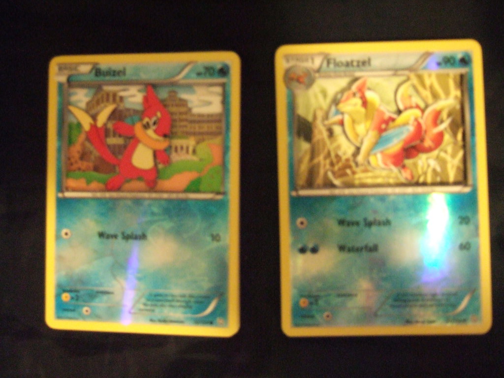 3d Pokemon Card Buizel And Floatzel By Zandaros On