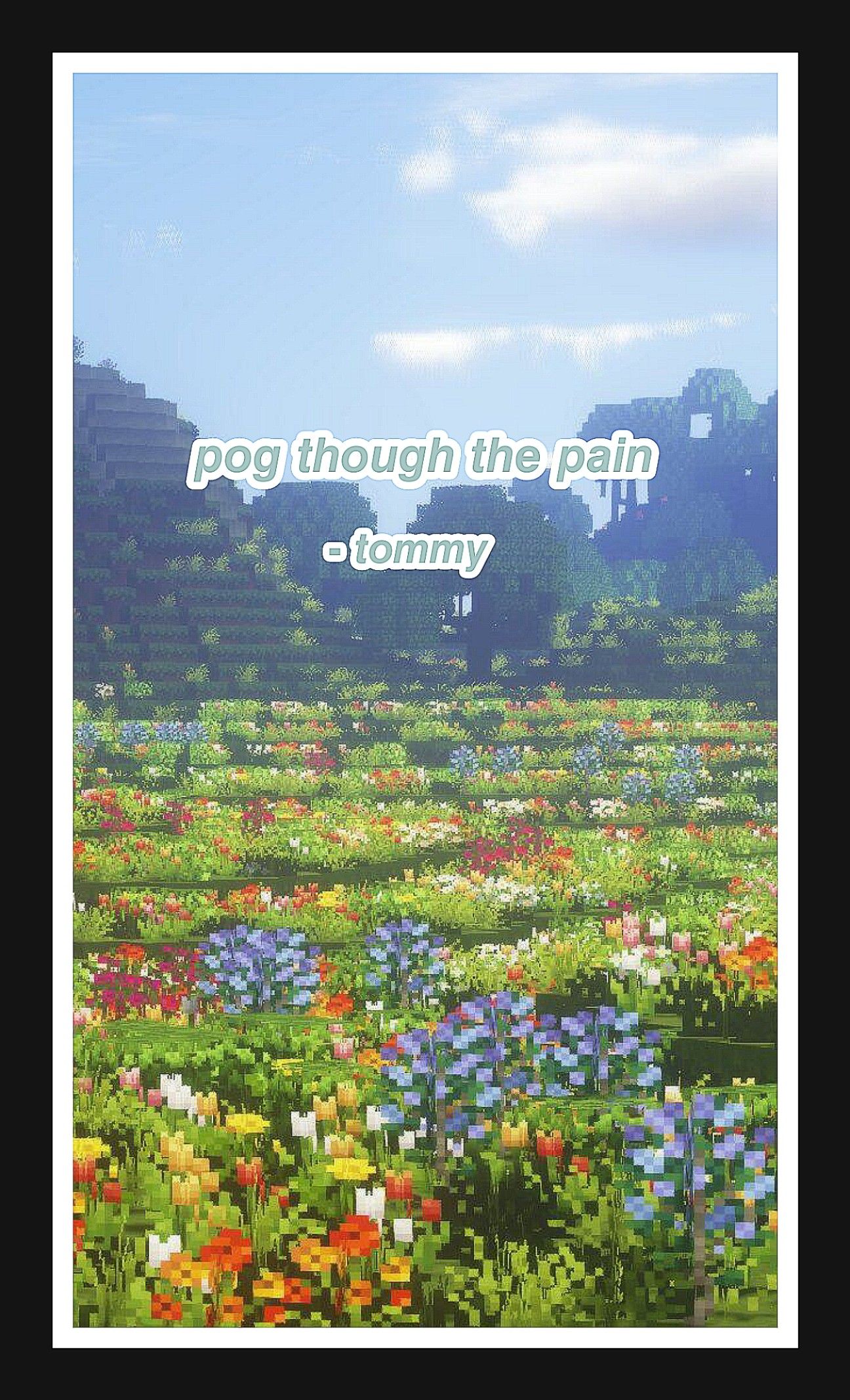 Tommyinnit Wallpaper