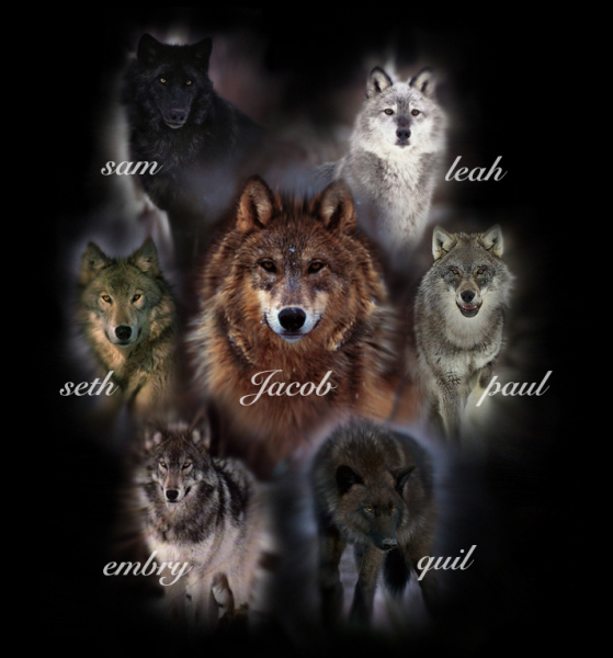 Wolf Packs Vampires Vs Werewolf Photo