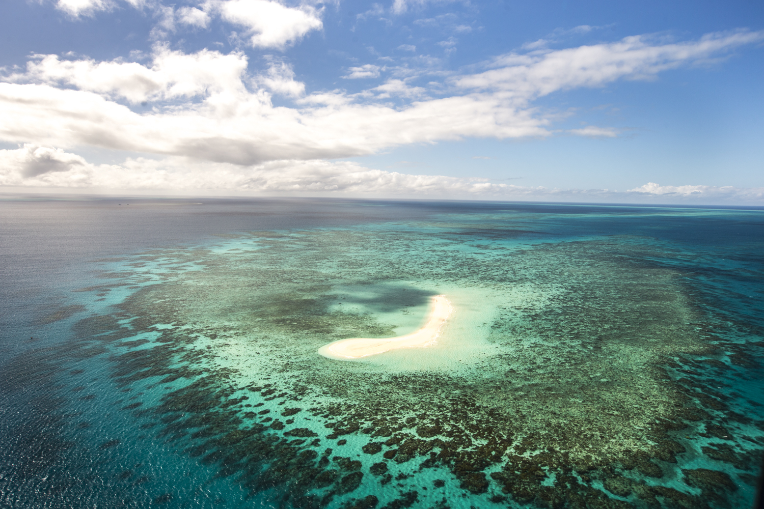 WWFs Living Planet Report echoed on the Great Barrier Reef