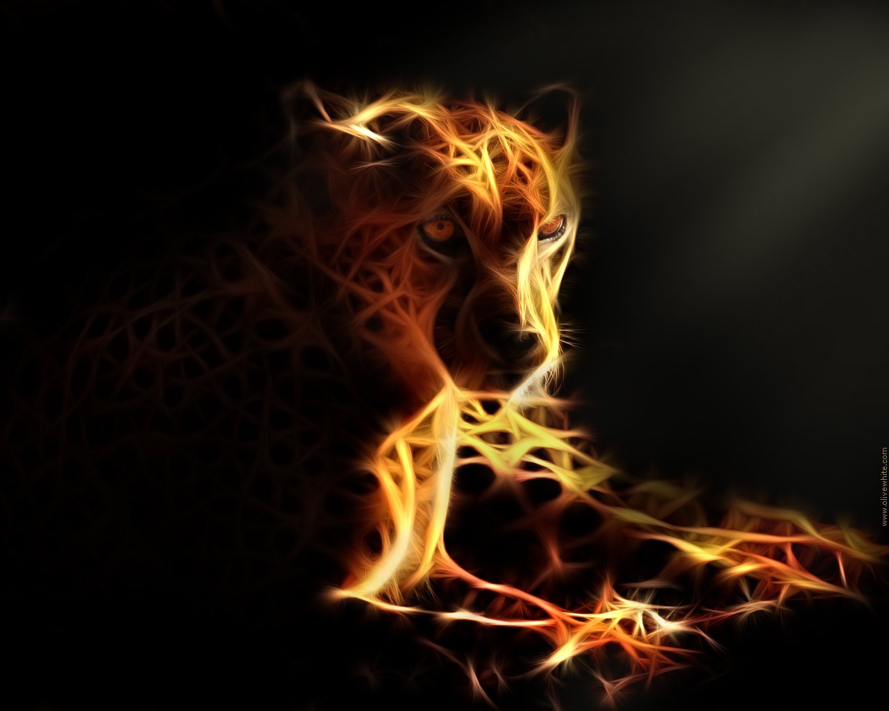 Cheetah Wallpaper And Background Id