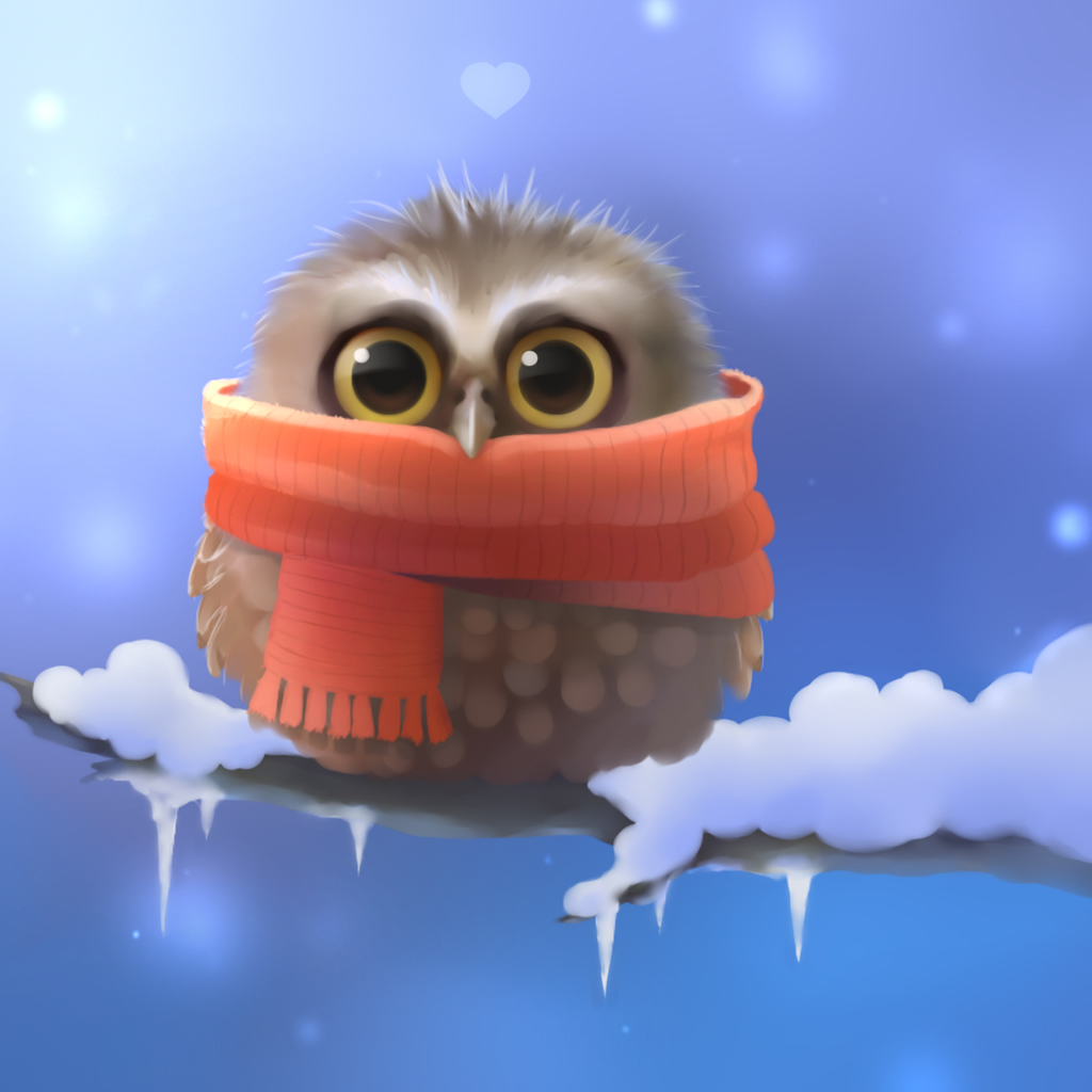 Cute Owl Graphic Ipad Wallpaper Iphone