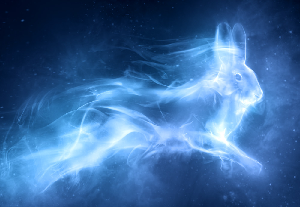 Category Hares Harry Potter