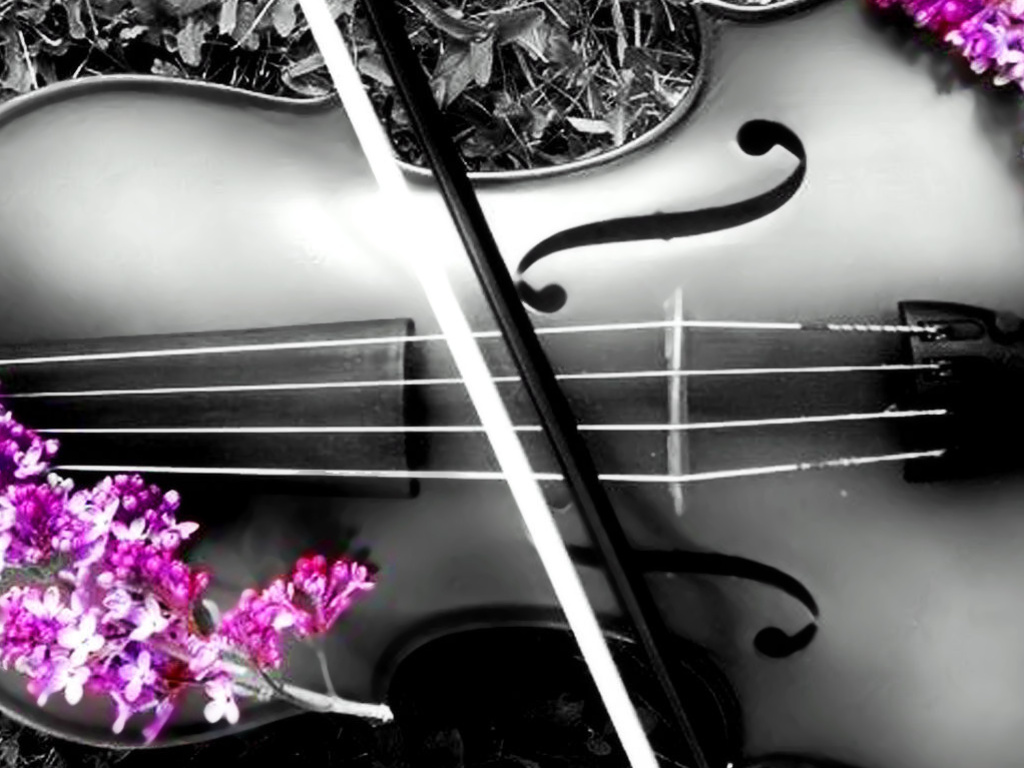 Beautiful Violin Wallpaper Lxh Pixel Popular HD