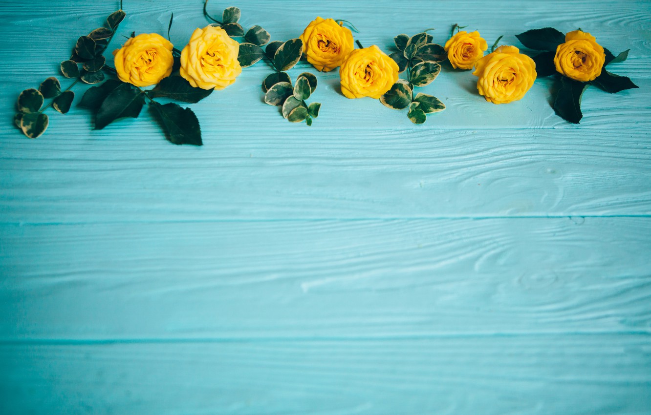 Wallpaper Flowers Roses Yellow Wood