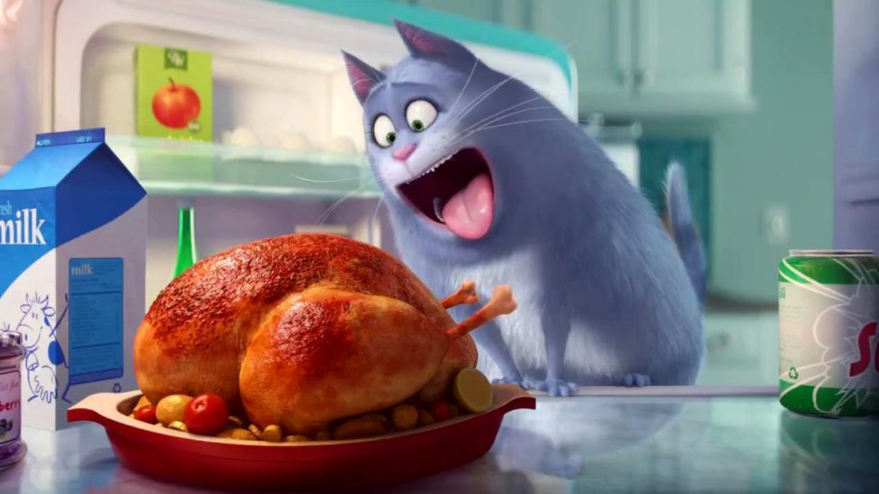 The Secret Life of Pets Wallpaper   HD Wallpapers Backgrounds of Your 1280x720