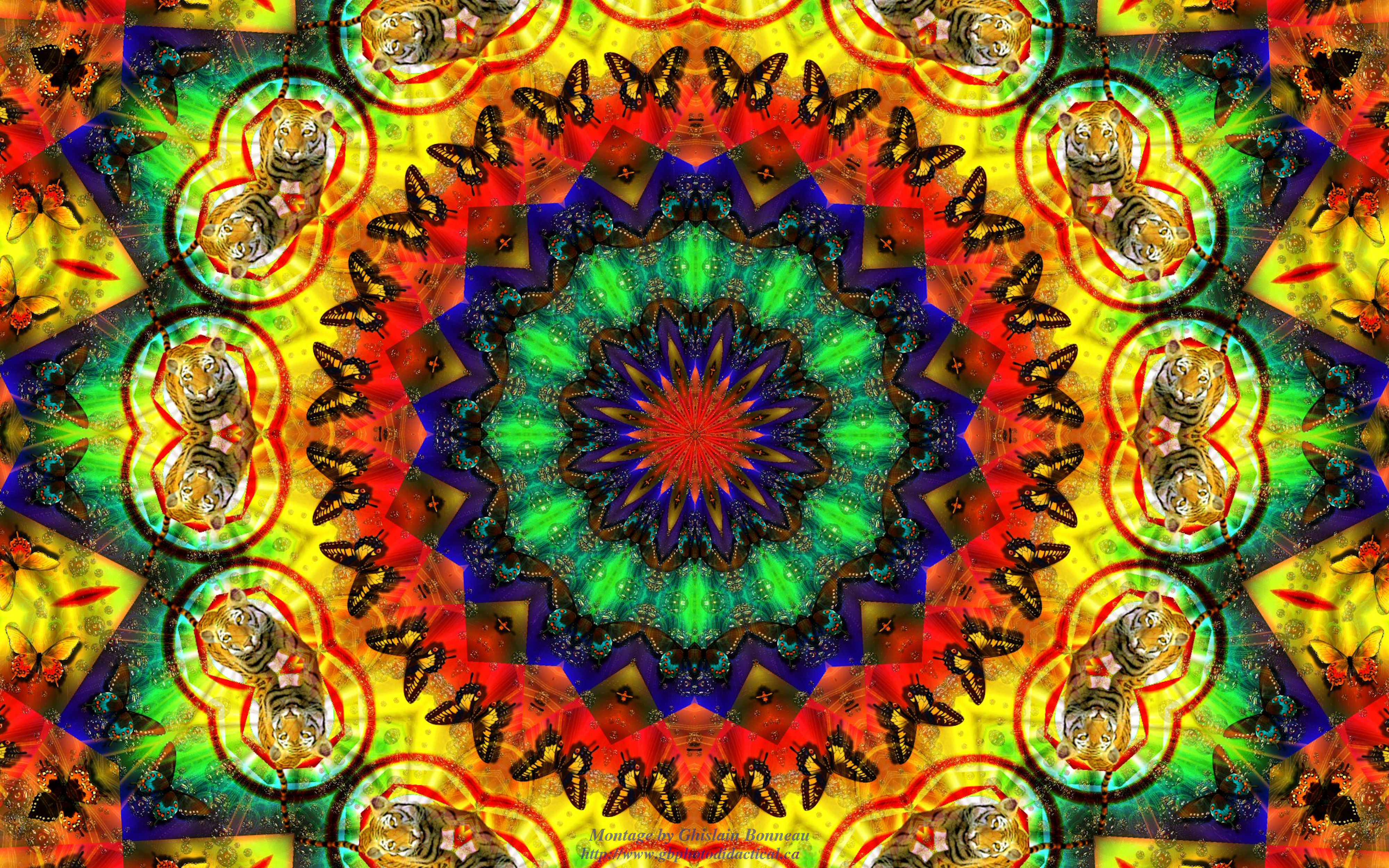 Hippie psychedelic wallpaper