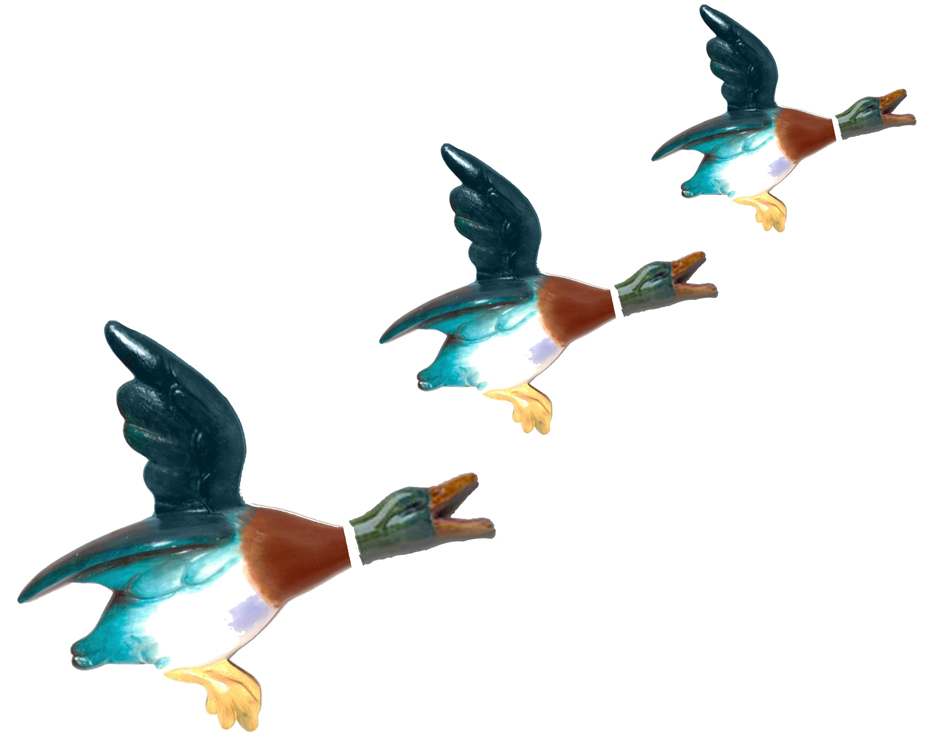 Flying Duck Wallpaper Animalgals