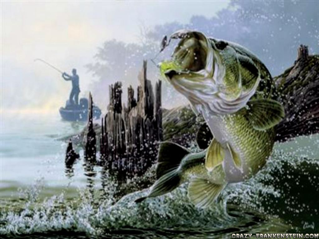 Back Gallery For bass computer fishing wallpaper 1024x768