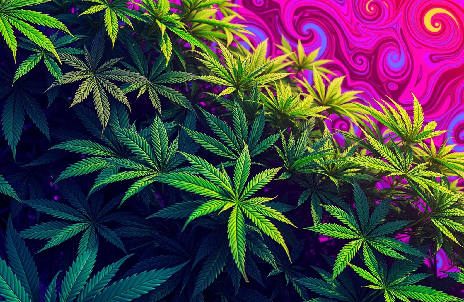 Marijuana Wallpaper And Screensavers