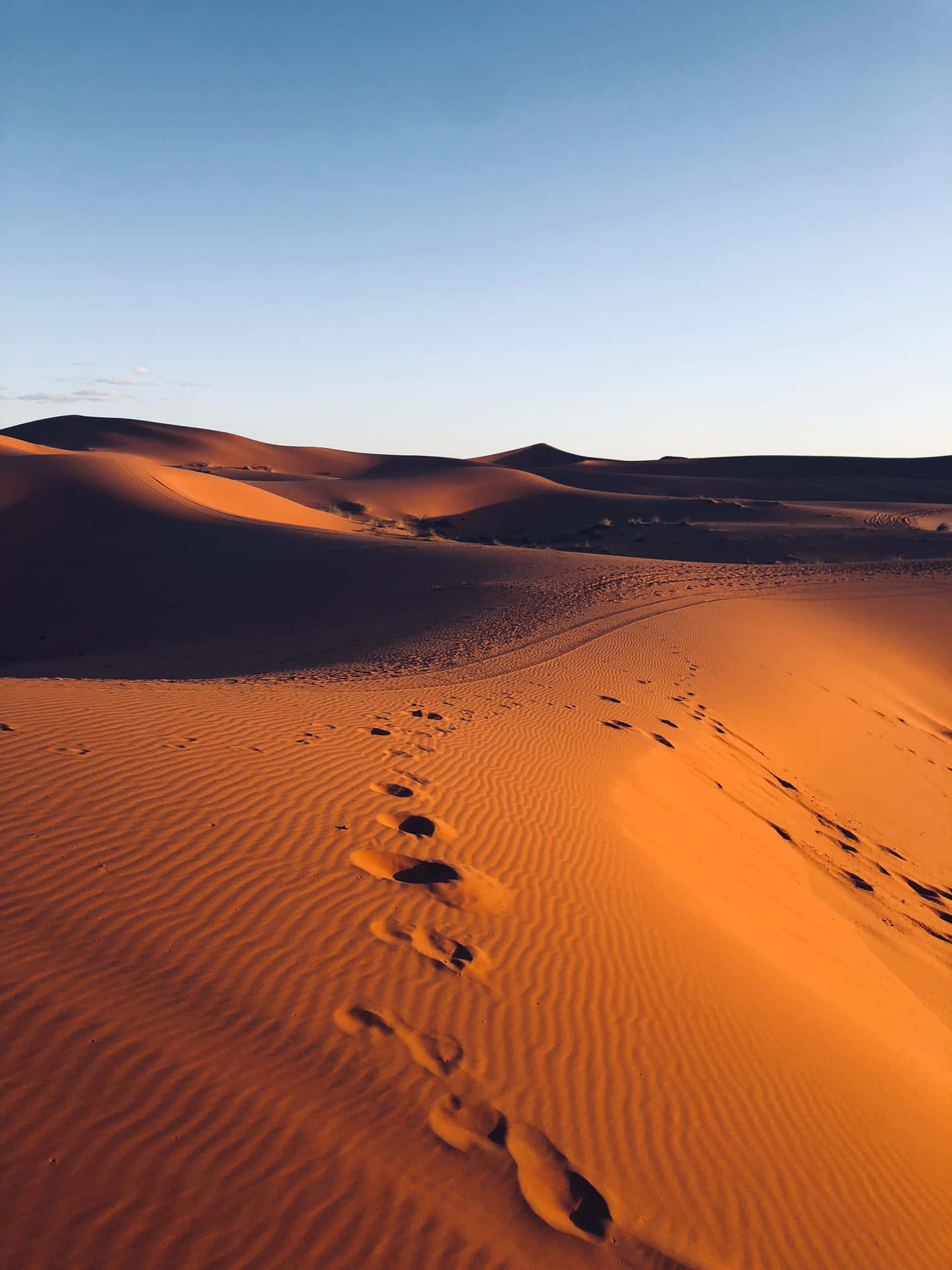 Desert Roads And Limitless Horizons Are Perfect For Getting Wallpaper