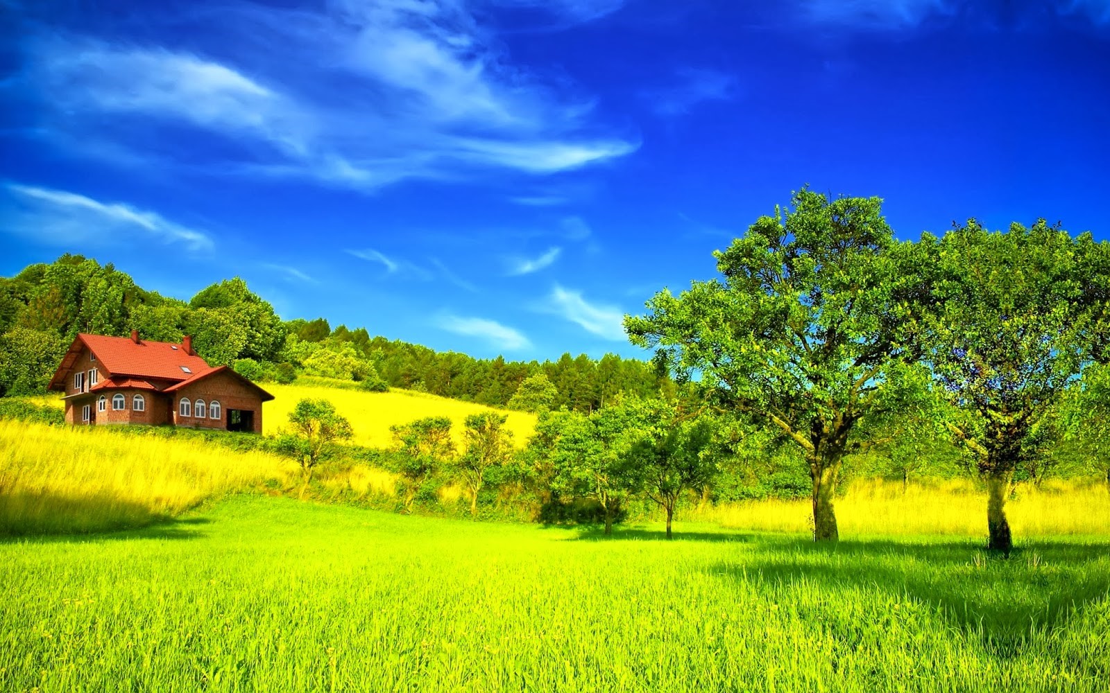 Pics Photos Most Beautiful Green Nature Places