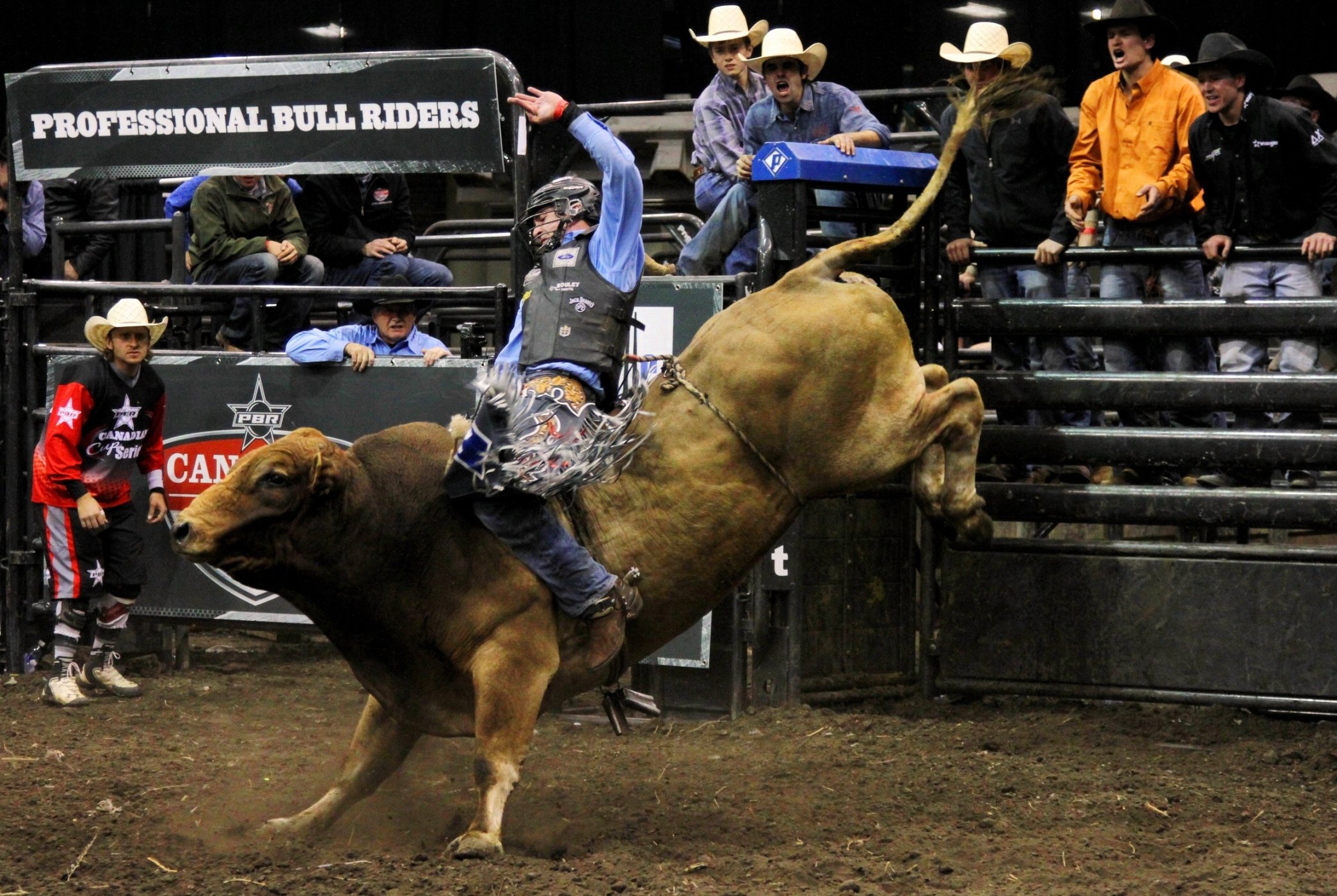 Bull Riding Bullrider Rodeo Western Cowboy Extreme Cow