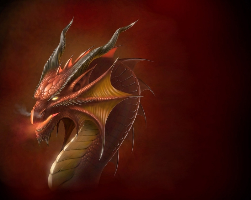 Dragon Directory Animated Plain Background Picture