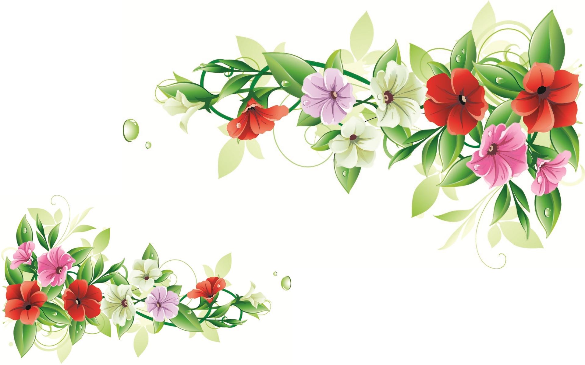 Vector Flower Frame HD Wallpaper