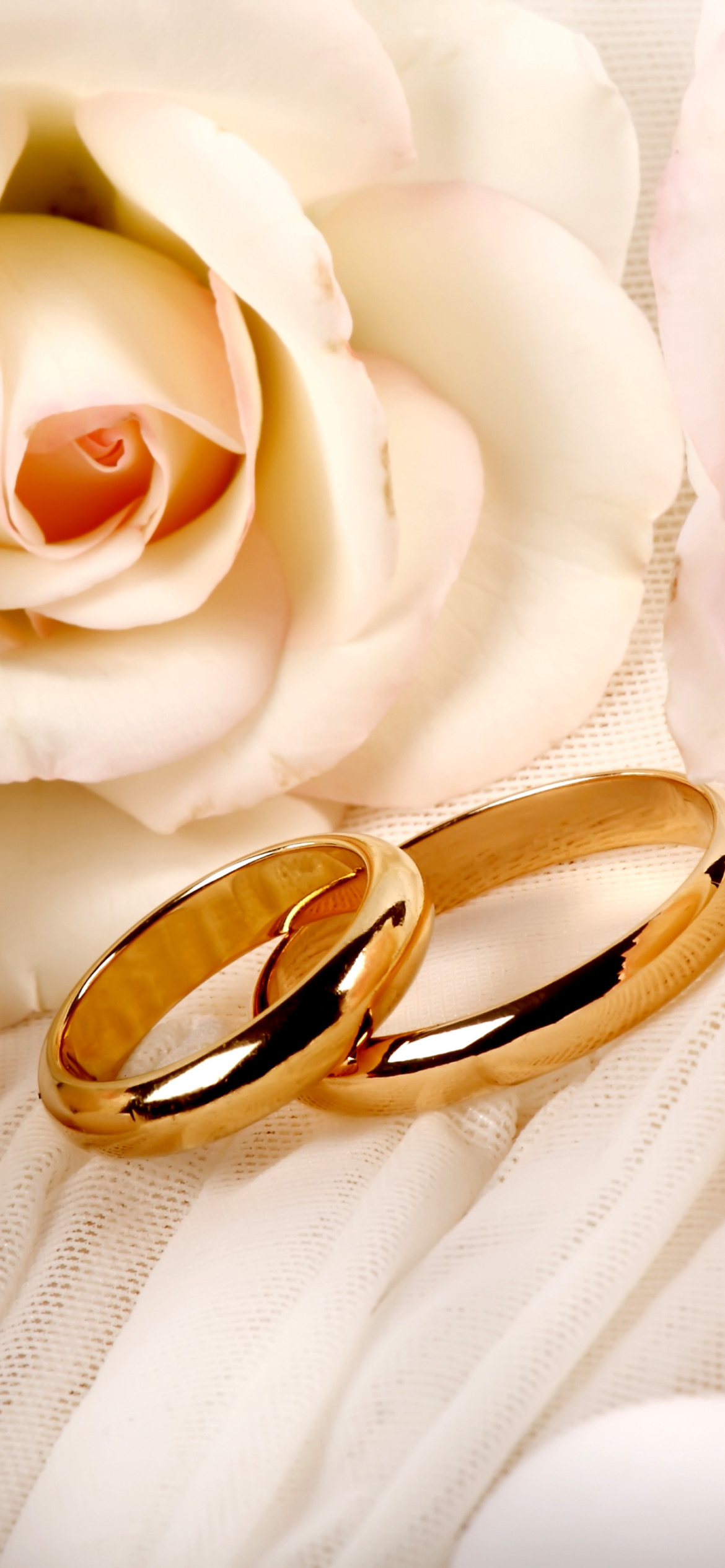 Roses And Wedding Rings Wallpaper For iPhone