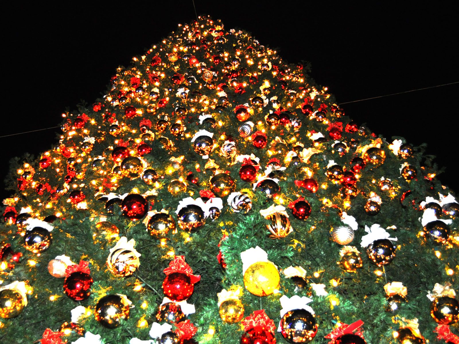 Big Christmas Tree Wallpaper And Background