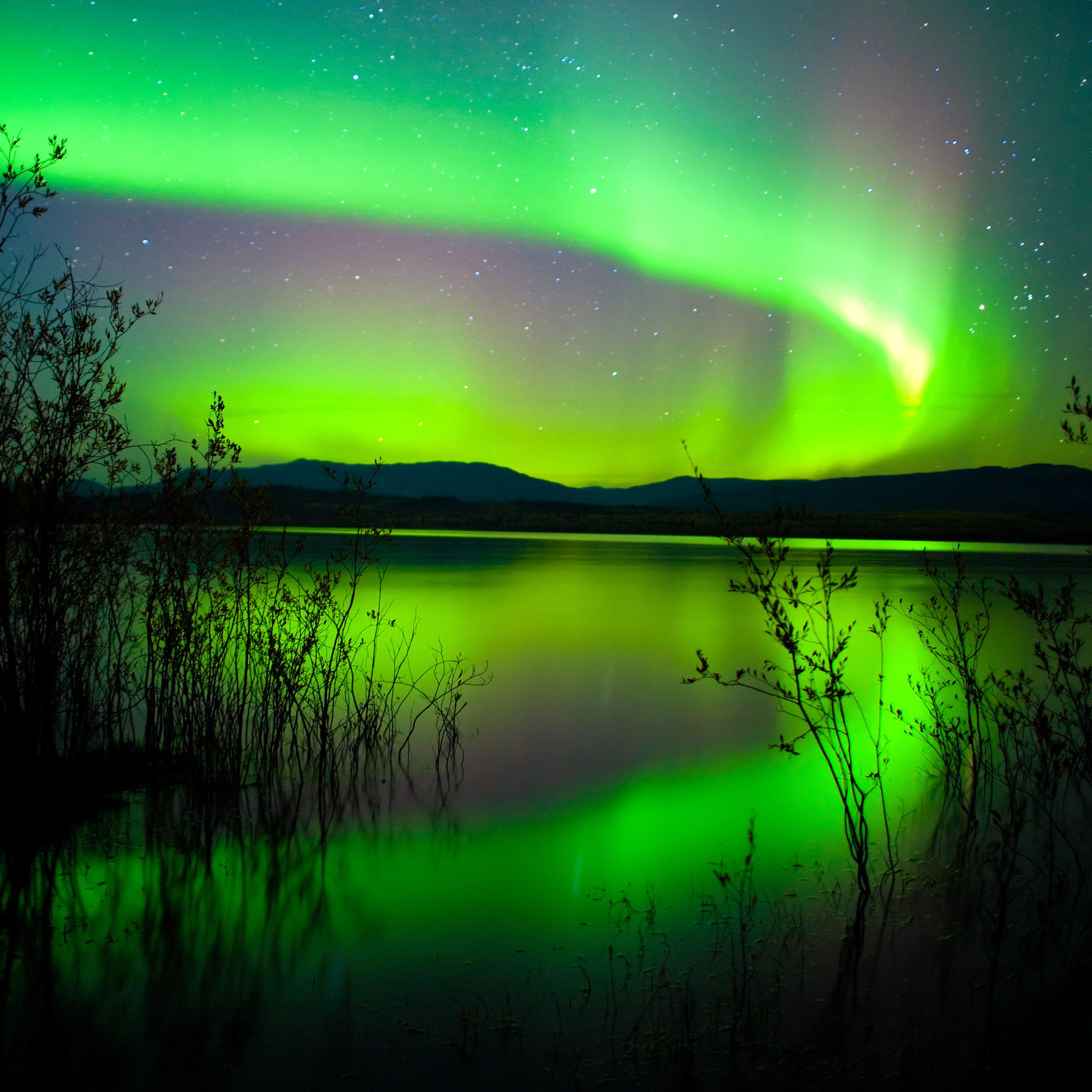 Green Northern Lights In Canada Eye Catching Of Nature
