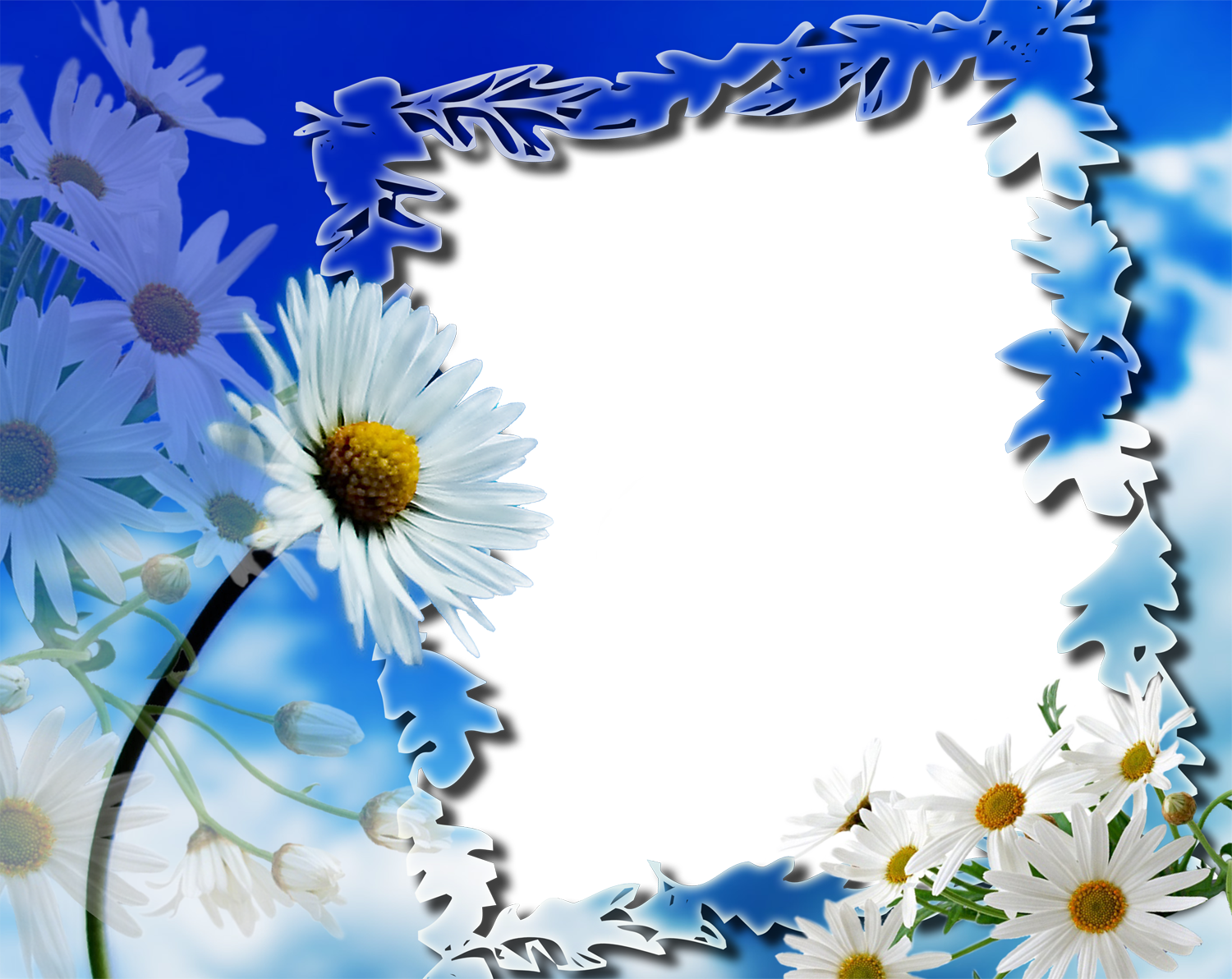 Frame Flowers Png