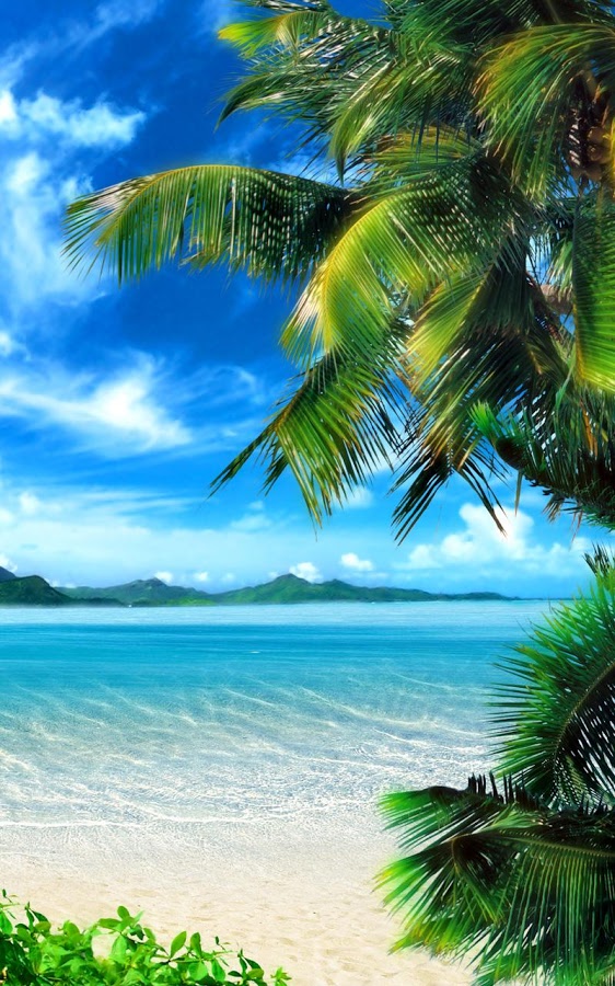 🔥 Download Tropical Beach Live Wallpaper On by @kellylynch | Live