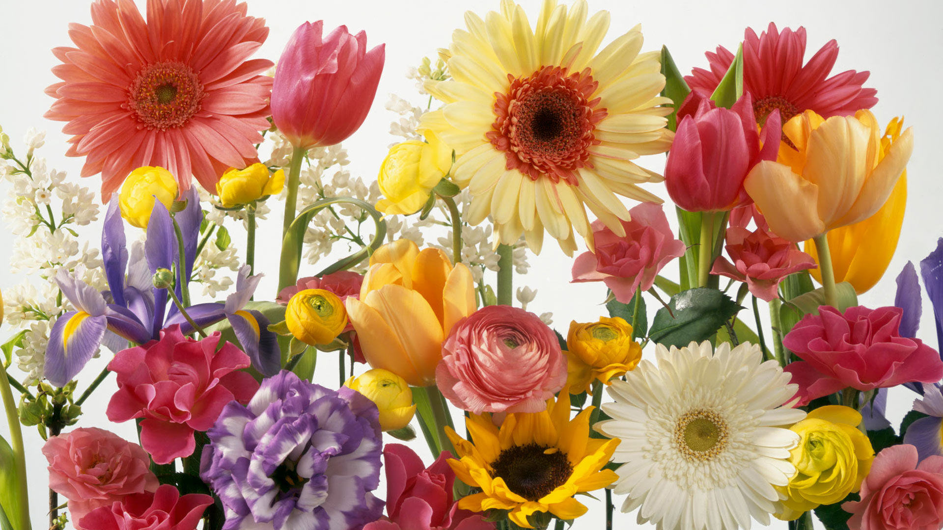 Desktop Wallpaper Spring Flowers